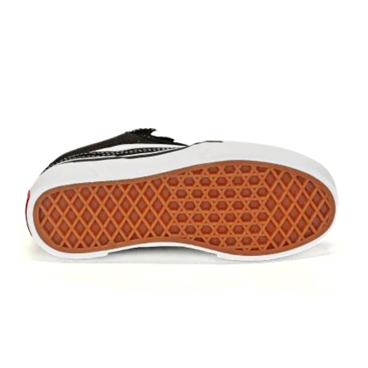 image_48d1dd69-8704-4bab-9c0c-abba4e6cedc6