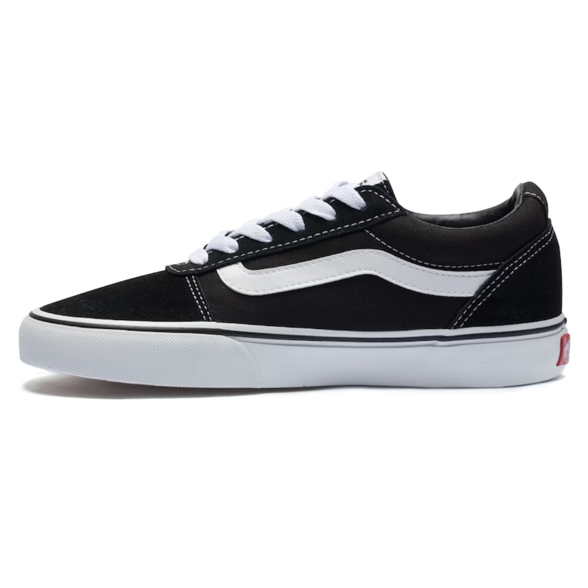 image_e38f0e56-8c15-4d4f-b25a-16b1781b1c09